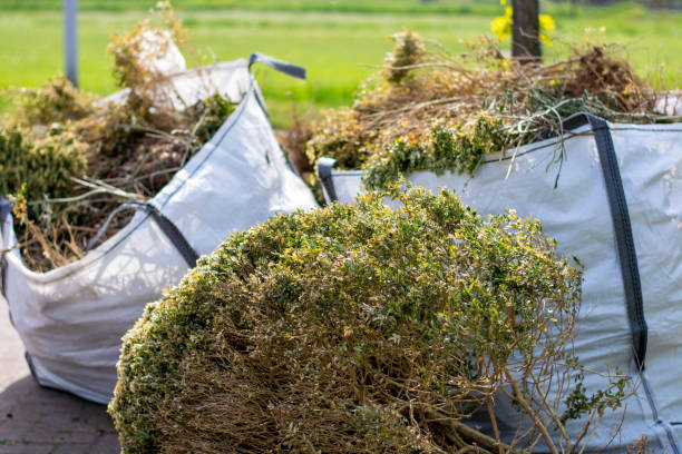 Best Construction Debris Removal  in Surfside Beach, SC